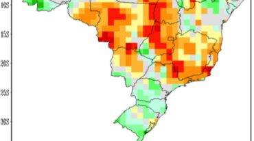 La escasez de lluvias en Brasil redujo el caudal del Paraná en el sur de nuestra provincia. Gentileza: prensa Bolsa de Comercio de Rosario.