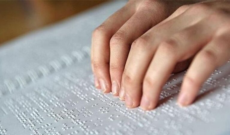 gentileza: Transmedia VT.