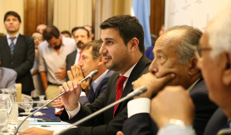 'Vamos a buscar en ambas cámaras la derogación de este decreto que es inconstitucional'