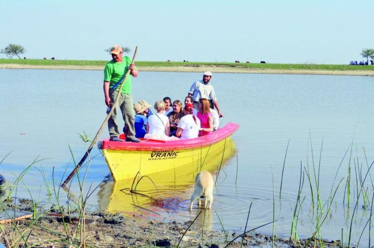 La economía social ayuda transformar un saber previo en una herramienta de supervivencia.