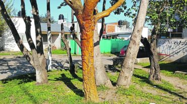 Artistas y profesionales decidieron tomar los instrumentos que mejor saben manejar e invitar a los lugareños a sumarse al 'lavado de cara' de esa 'zona gris'. Mirador Entre Ríos