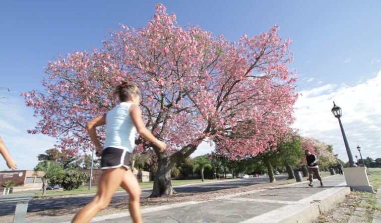 En la costanera de Santa Fe