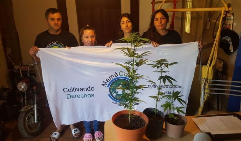 Embanderados por la causa. 'Mientras se debate qué se hace con el autocultivo dentro de la ley