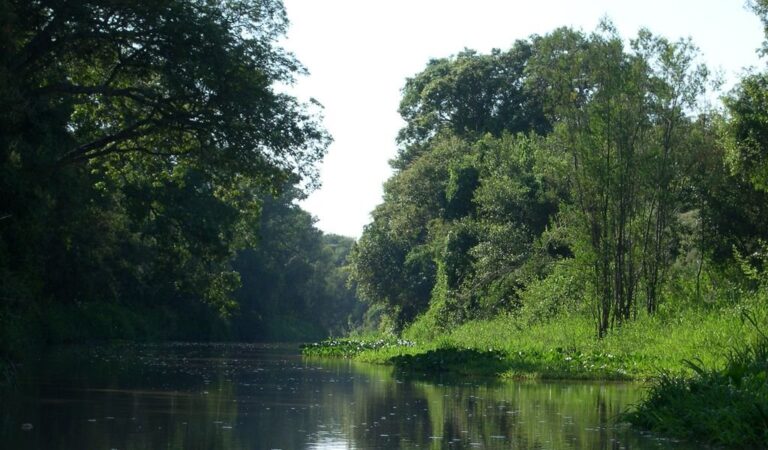 Toda la belleza del Ramsar Jaaukánigas