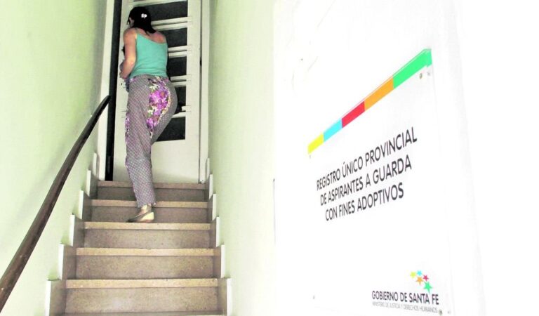 Camino a la adopción. Hasta octubre se registraron 102 vinculaciones en total