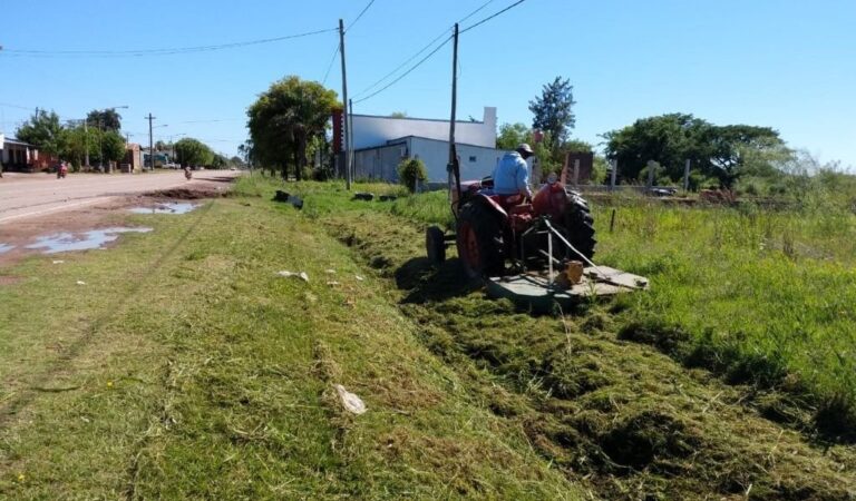 El desmalezado y corte de pasto se realiza en ruta 13