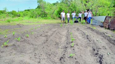 La huerta orgánica
