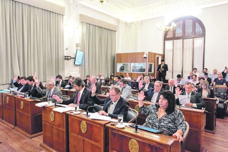 Fue intenso el debate en torno a la llamada ley de comunas.