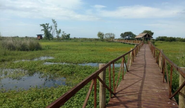 La reserva Deloit pertenece a la Municipalidad de Rosario. Gentileza: prensa Municipalidad de Rosario.