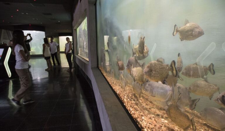 Obras. Debido a estas tareas