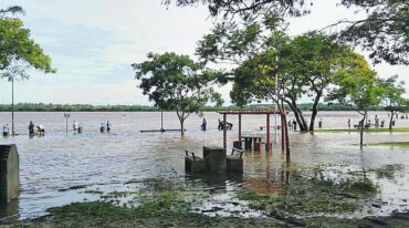 En la zona de parrillas