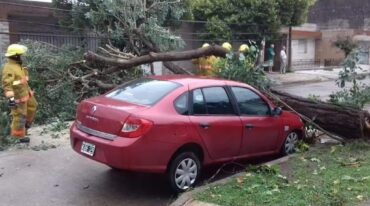 Un temporal azotó a Casilda. Gentileza
