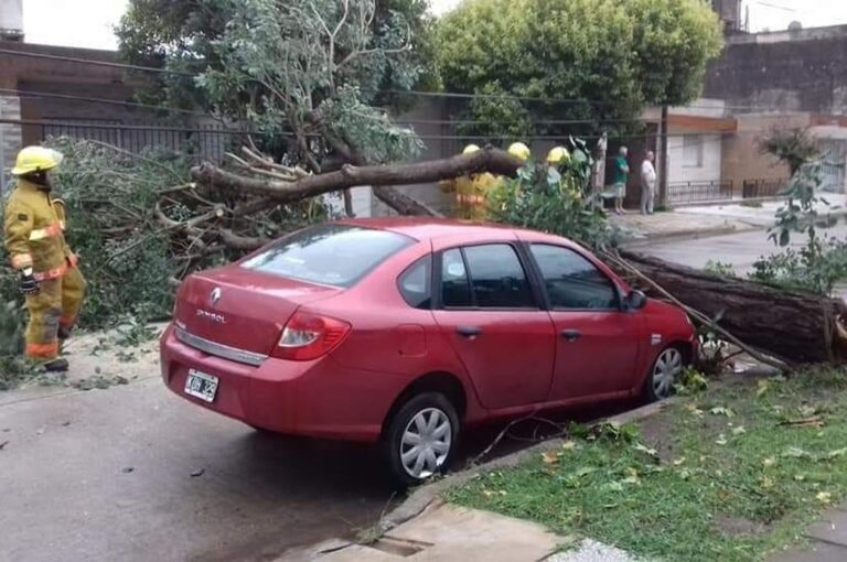 Un temporal azotó a Casilda. Gentileza