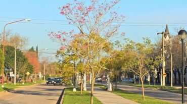 Una de las calles de la tranquila y pintoresca localidad del sur de la provincia.  Portal Larroque