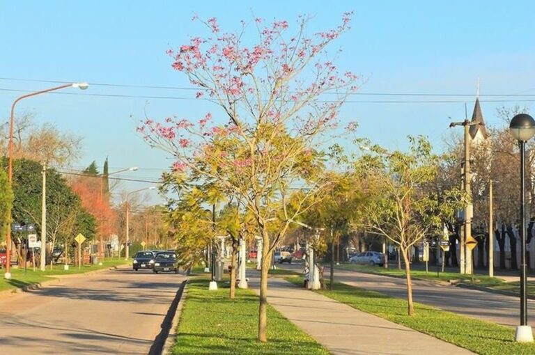 Una de las calles de la tranquila y pintoresca localidad del sur de la provincia.  Portal Larroque