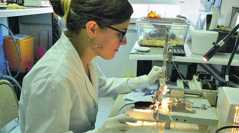 Un equipo de la UNER trata de identificar los efectos benéficos del consumo de yerba mate en enfermos de Parkinson.