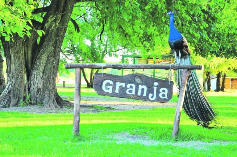 Un emprendimiento familiar con objetivos educativos se sostiene con aportes voluntarios en el departamento Colón.