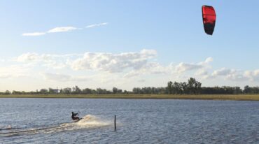 El estudio fue certero en cuanto a que la laguna de Melincué hoy cuenta con 11 especies que la habitan. Esto representó una novedad para la gente del pueblo que no había reparado en tal variedad. Gentileza: Transmedia VT.