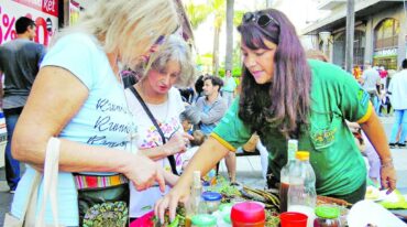 A través de los talleres itinerantes la ONG difunde y comparte conocimientos con los ciudadanos.