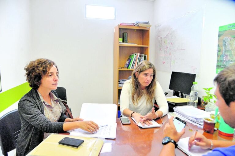 'La idea es que cada cuenca pueda tener su comité para organizarse entre el área ciudadana como técnica