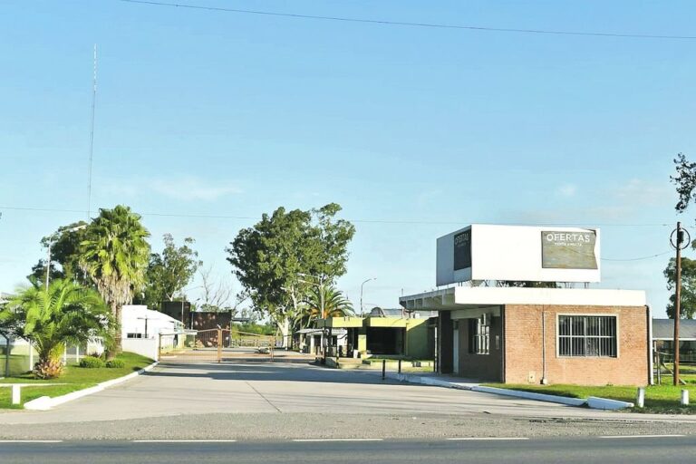 El frigorífico de Venado Tuerto abriría sus puertas en mayo. Gentileza.