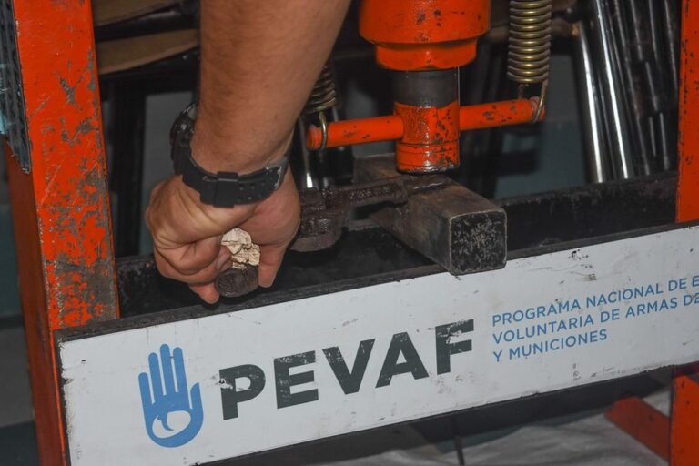 Gentileza: prensa Municipalidad de Villa Gobernador Gálvez.