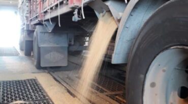 Los silos del puerto de Santa Fe tienen capacidad para almacenar 56.000 toneladas. Gentileza: prensa Gobierno de Santa Fe.