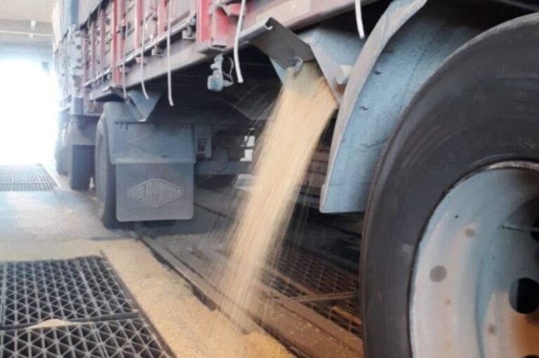 Los silos del puerto de Santa Fe tienen capacidad para almacenar 56.000 toneladas. Gentileza: prensa Gobierno de Santa Fe.
