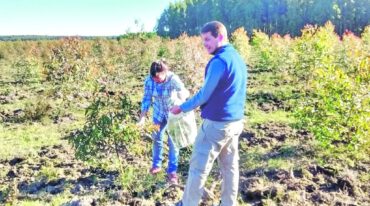 La actividad forestal demanda inversiones de largo aliento