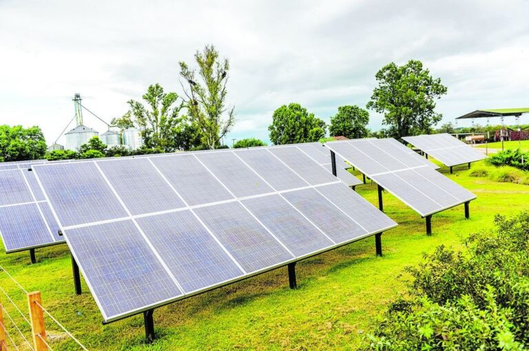 Cinco millones de pesos demandó la compra e instalación de los 218 paneles. Gentileza Establecimiento La Rosalía