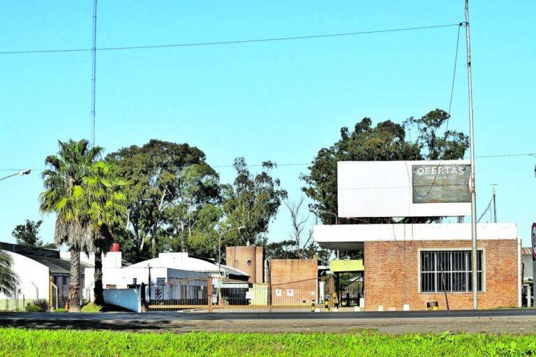 Desde este lunes vuelve a funcionar la planta frigorífica de la empresa 'Swift Minerva Foods' en Venado Tuerto -departamento General López-. Transmedia TV.