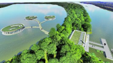 La flor de irupé crece en las lagunas internas y bañados del delta