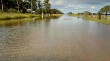 Los habitantes del departamento 9 de Julio padecen la deforestación en Santiago del Estero