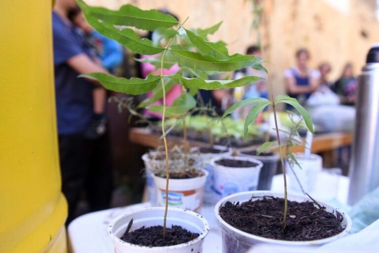 Este tipo de talleres son parte de las políticas públicas de promoción de la agricultura urbana. Gentileza: prensa Municipalidad de Rosario.