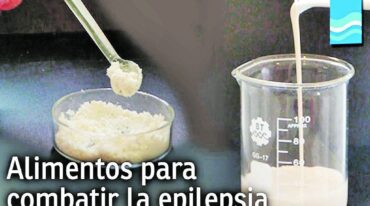 La UNER desarrolla de dos tipos de productos: una símil leche fluida lista para el consumo y una símil leche en polvo para reconstituir en agua.