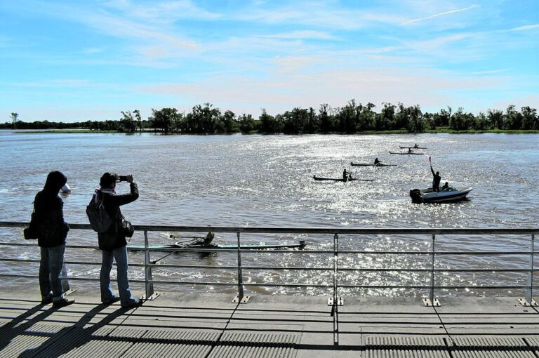 Una postal cada vez más repetida en la Costanera paranaense: el público siguiendo (y registrando) las pruebas de remo. Prensa Remo PRC