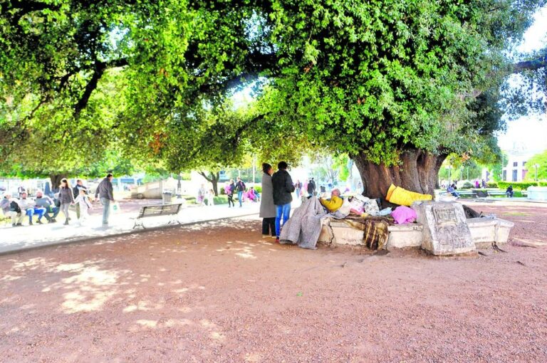 Bajo un copioso árbol de la plaza 1º de Mayo de la ciudad pasan el día y la noche algunas personas que no tienen un techo. Sergio Ruíz
