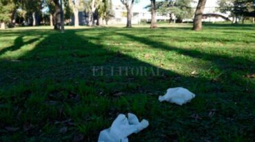 Gentileza Diario La Capital
