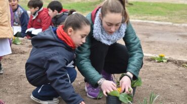 El lugar elegido es libre de pesticidas y el beneficio no solo va a ser para las flores