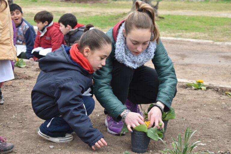 El lugar elegido es libre de pesticidas y el beneficio no solo va a ser para las flores