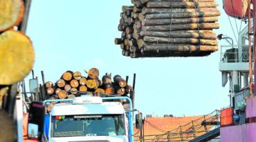 En el puerto Ibicuy se completó la carga de 38.000 toneladas de madera que se había iniciado en Concepción del Uruguay.