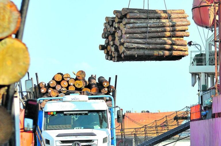 En el puerto Ibicuy se completó la carga de 38.000 toneladas de madera que se había iniciado en Concepción del Uruguay.