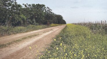 Conclusiones. Remarcaron el nivel de erosión que sufren todos los caminos: se estima que durante los últimos años las calzadas del sur provincial perdieron altura