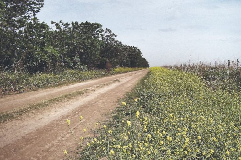 Conclusiones. Remarcaron el nivel de erosión que sufren todos los caminos: se estima que durante los últimos años las calzadas del sur provincial perdieron altura