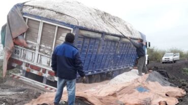 Camiones varados en la ruta 3