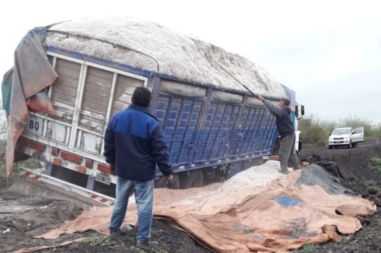 Camiones varados en la ruta 3