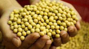 El programa se fundamenta en la necesidad de posicionar de manera exitosa los alimentos