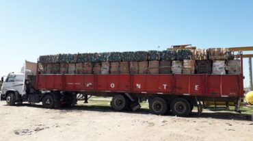 La venta de este insumo representan 260.000 pesos para la Municipalidad de Rufino. Gentileza: prensa Municipalidad de Rufino.