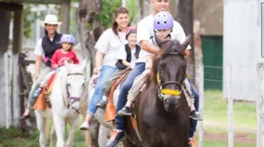 Existen tres tipos de terapia asistida con caballos: la hipoterapia
