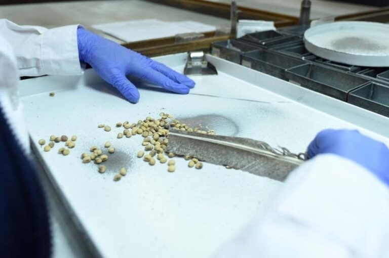 Gentileza: prensa BCR.